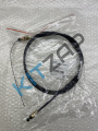 ���� ���� 1950��