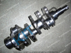 ��� ����������