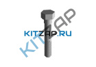 ���� ������ 